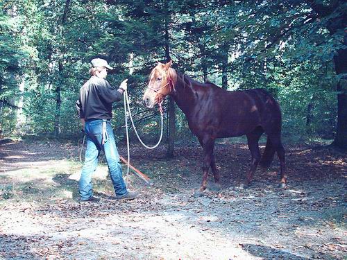 backwards_barrelrace.jpg